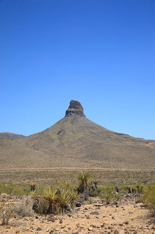  America Poster featuring the photograph Desert Landscape #3 by Frank Romeo