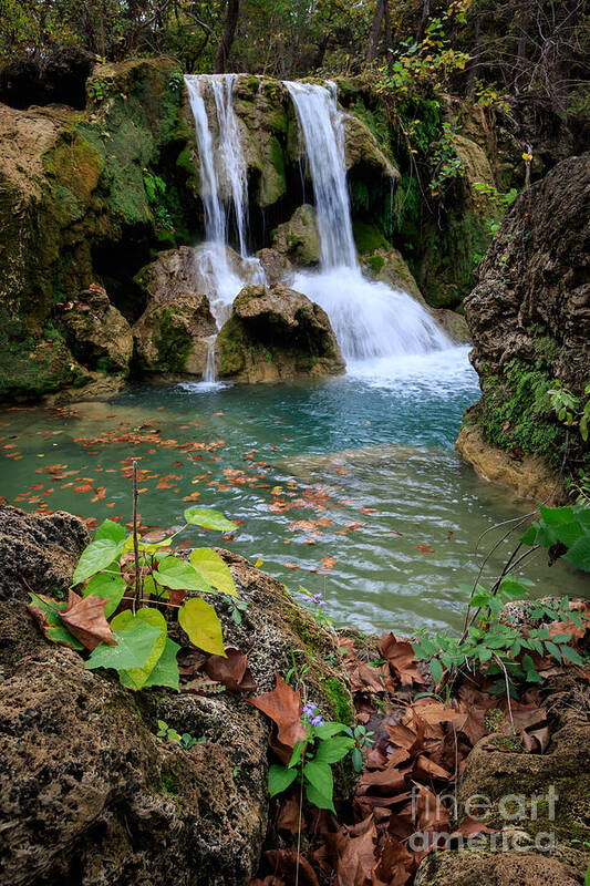 Forest Poster featuring the photograph Price Falls in Autumn color. #3 by Richard Smith