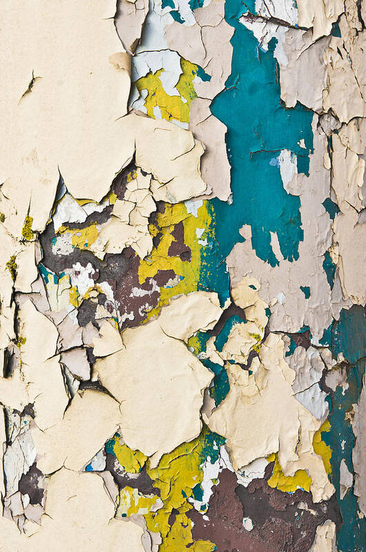 Aged Poster featuring the photograph Peeling paint #32 by Tom Gowanlock