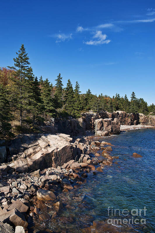 Acadia Poster featuring the photograph Acadia National Park #6 by John Greim