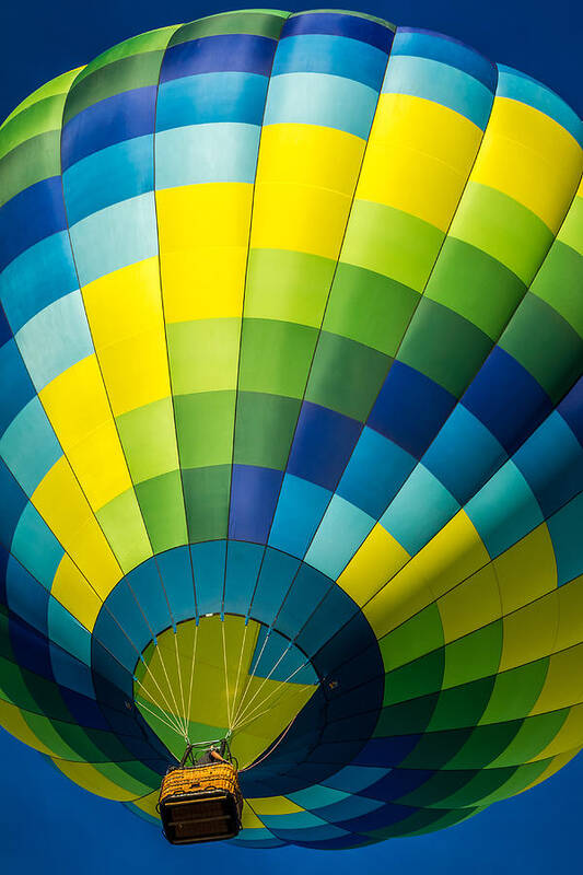 Albuquerque Poster featuring the photograph Hot Air Balloon #6 by Ron Pate