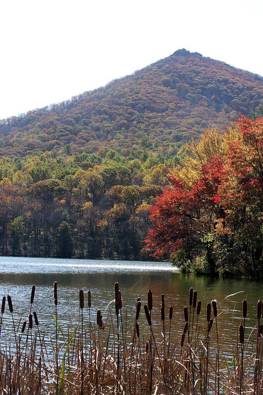 Lake Poster featuring the photograph View of Abbott Lake and Sharp Top in autumn #7 by Emanuel Tanjala