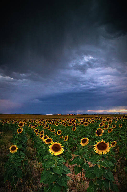 Colorado Poster featuring the photograph A Chance Of Rain by John De Bord
