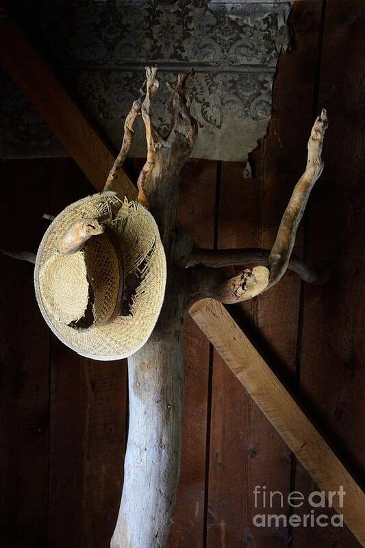Hat Rack Western West Rodeo Ghost Town Hall Tree Old Straw Tree Stand Poster featuring the photograph A Place to Hang Your Hat 5448 by Ken DePue