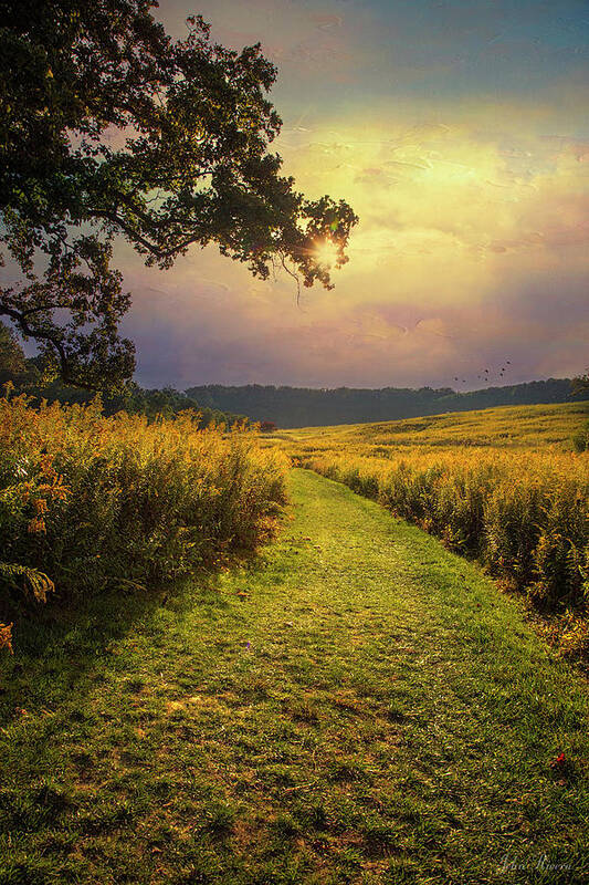 Walk Poster featuring the photograph A Walk in Solitude by John Rivera