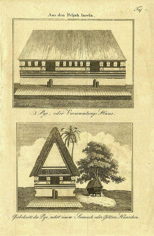 Abai Poster featuring the drawing Abai on Palau by Thomas Walsh