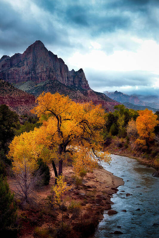 Zion Poster featuring the photograph Ablaze by Renee Sullivan