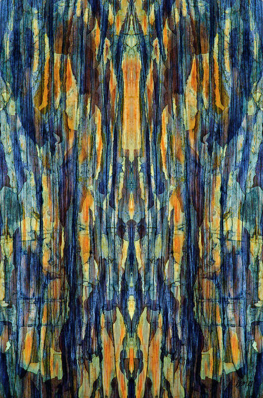 Abstract Poster featuring the photograph Abstract Symmetry I by David Gordon