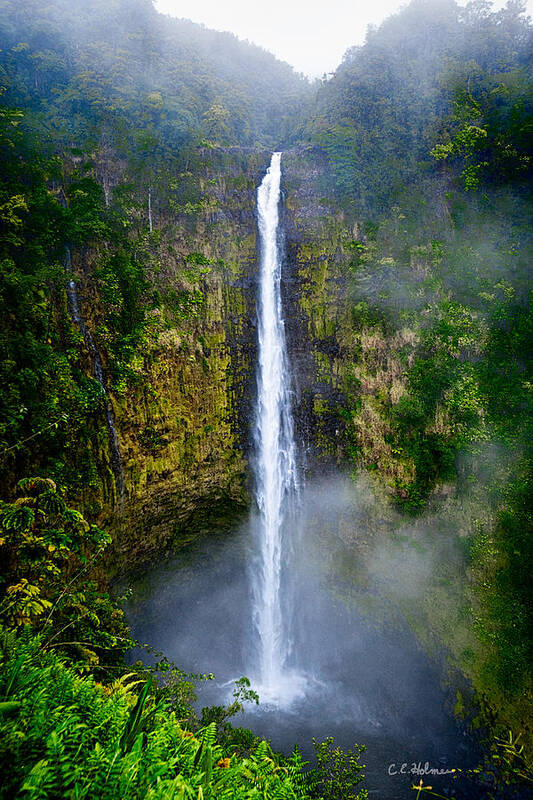 Nature Poster featuring the photograph Akaka Falls by Christopher Holmes