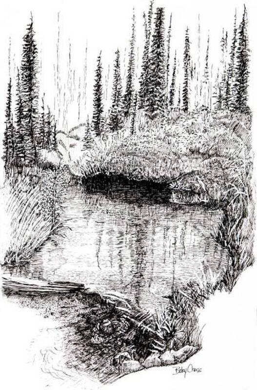 Gallery Poster featuring the drawing Alaska Pond by Betsy Carlson Cross