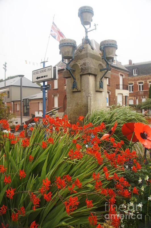 Poppies Poster featuring the photograph Albert Village Square by Therese Alcorn