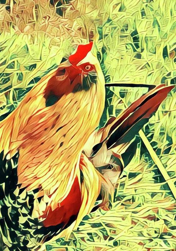#flowersofaloha #aloha #rooster #doodledoo Poster featuring the photograph Aloha Doodle Doo by Joalene Young