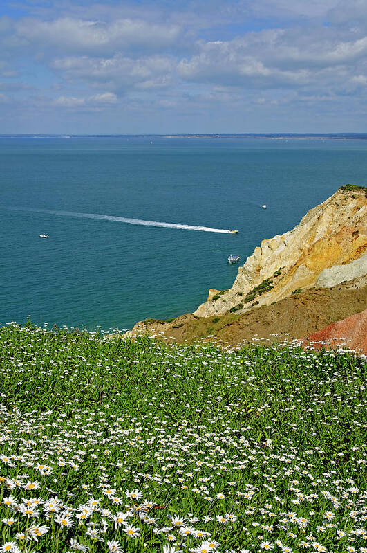 Europe Poster featuring the photograph Alum Bay from West High Down by Rod Johnson