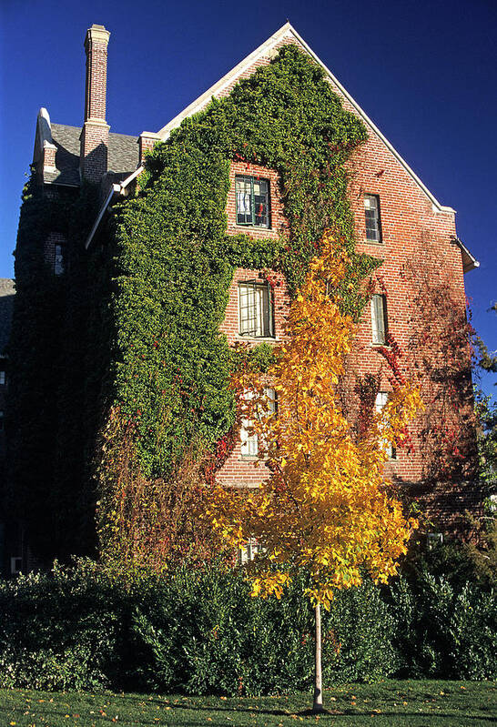 Outdoors Poster featuring the photograph Alumni Bldg by Doug Davidson