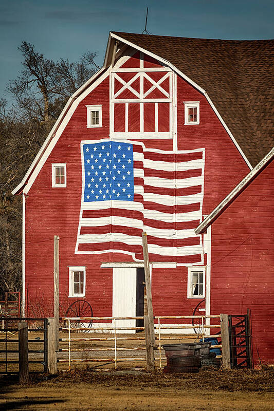Barn Poster featuring the photograph American Pride by Susan Rissi Tregoning