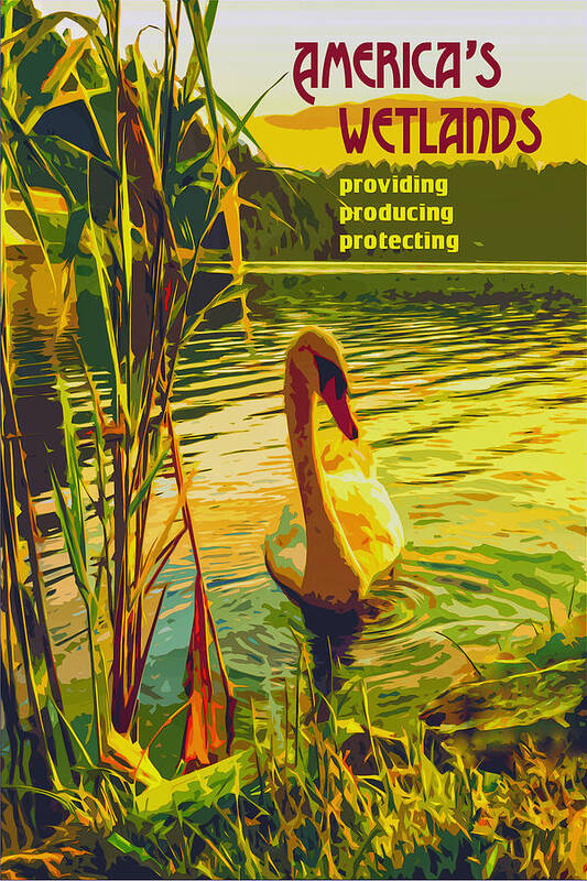 Lake Poster featuring the digital art Americas Wetlands by Chuck Mountain