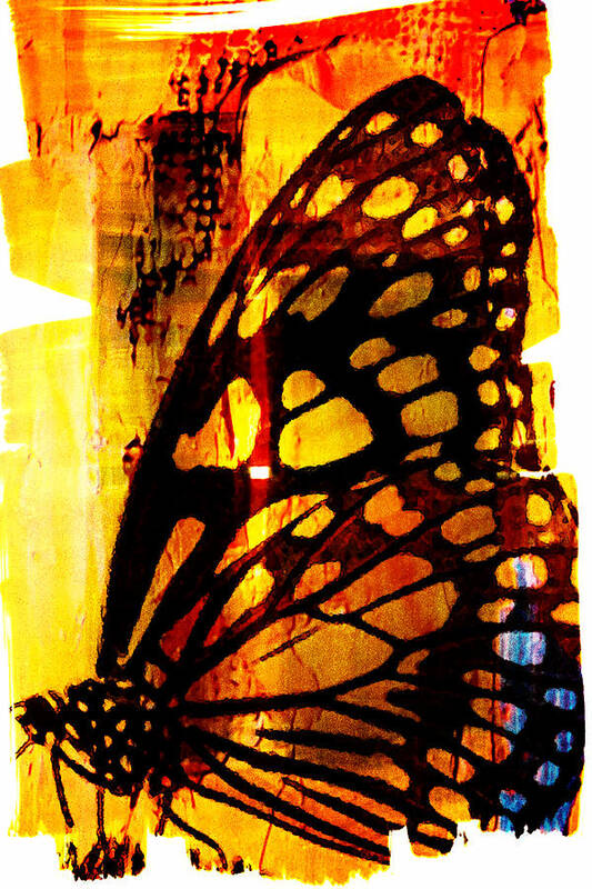 Butterfly Poster featuring the digital art Another Butterfly by Andrea Barbieri