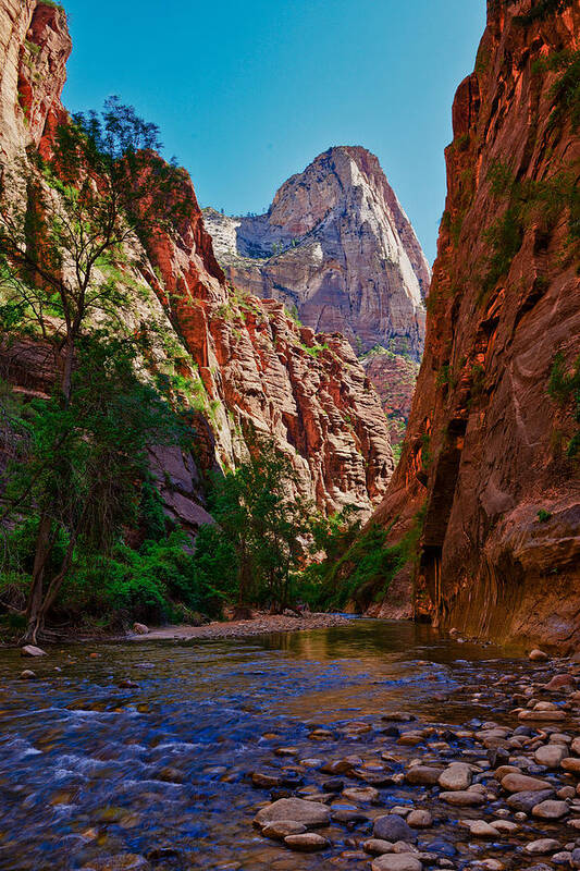 Zion National Park Poster featuring the photograph Approaching The Narrows by Greg Norrell