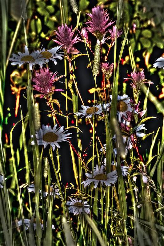 Flower Poster featuring the photograph Artistic Wildflowers by Loni Collins