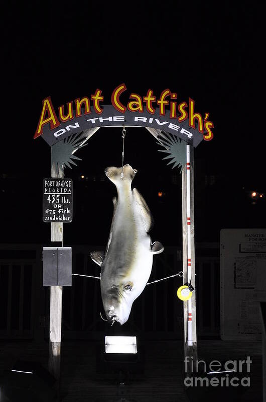 Seafood Restaurants Poster featuring the photograph Aunt Catfish by John Black