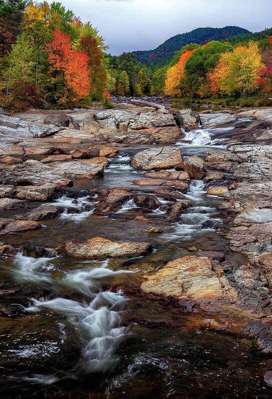 Ausable River Jay Ny Poster featuring the photograph Ausable by Mark Papke