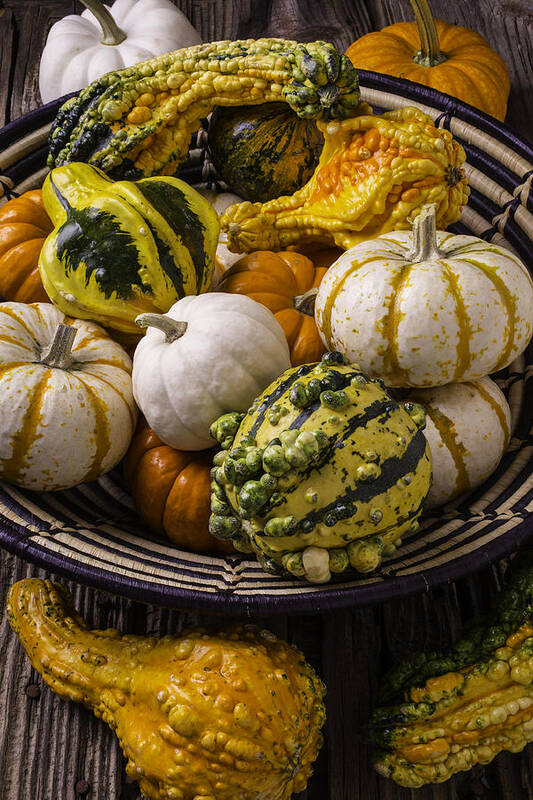 Colorful Poster featuring the photograph Autumn Harvest Basket by Garry Gay