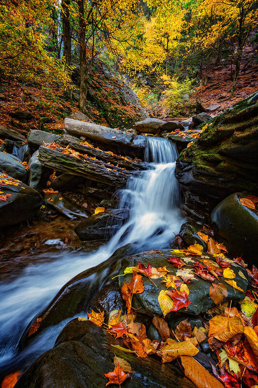 Autumn Poster featuring the photograph Autumn In The Catskills by Rick Berk