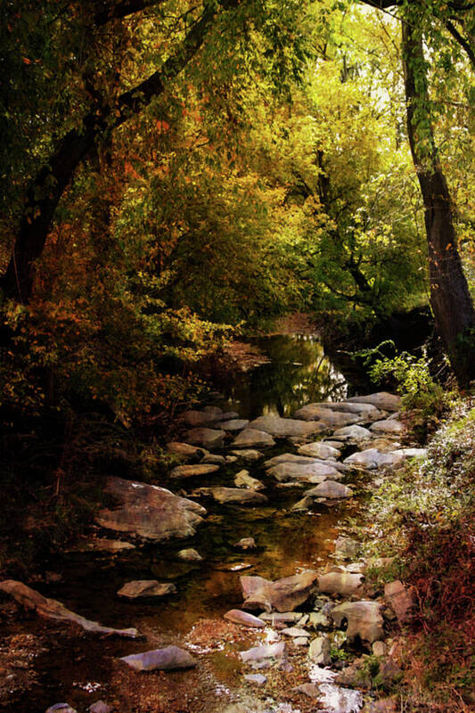 Autumn Stream Poster featuring the photograph Autumn Stream 6163 H_2 by Steven Ward