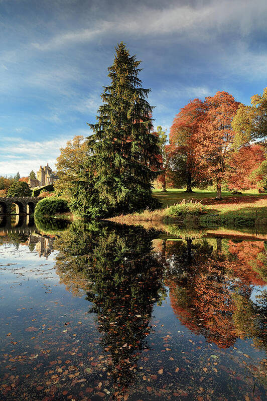  Drummond Castle Gardens Poster featuring the photograph Autumn Tree Reflection by Grant Glendinning