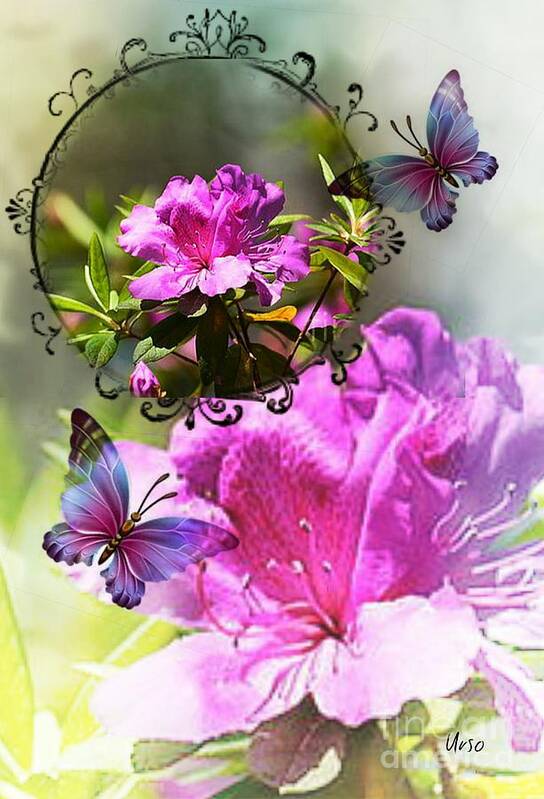 Azaleas And Butterflies Poster featuring the photograph Azalea and Butterflies by Maria Urso