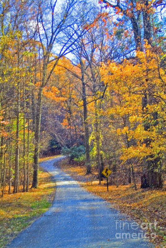 Back Road Fall Colors Foliage Revolutionary Civil War Road Valley Forge Pa Poster featuring the photograph Back Road Fall Foliage by David Zanzinger