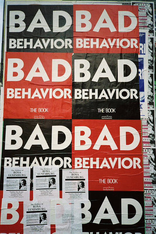 Bad Behavior Poster featuring the photograph Bad Behavior by Frank DiMarco