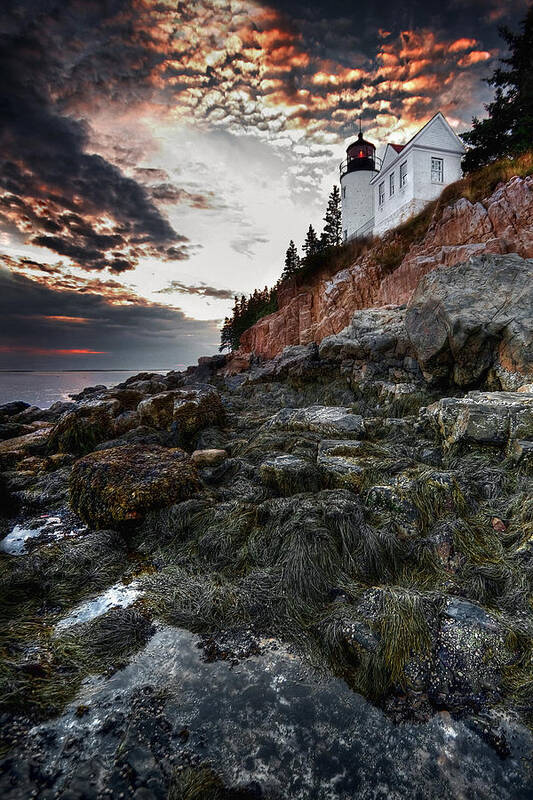 Acadia Poster featuring the photograph Bass Harbor Light by Neil Shapiro