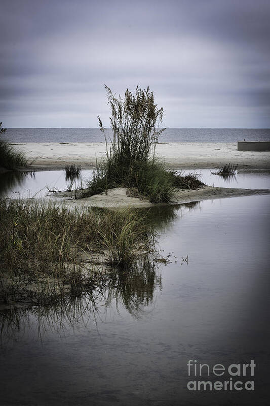 Hilton Head Poster featuring the photograph Beach Island by Judy Wolinsky