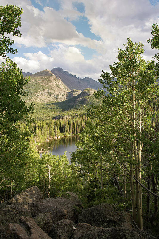 Four Seasons Poster featuring the photograph Bear Lake Summer by Aaron Spong