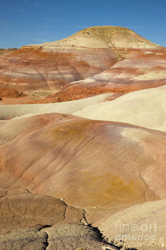 00431161 Poster featuring the photograph Bentonite Hills, Capitol Reef by Yva Momatiuk and John Eastcott