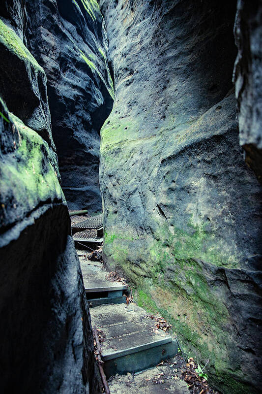 Nature Poster featuring the photograph Between The Rocks by Andreas Levi