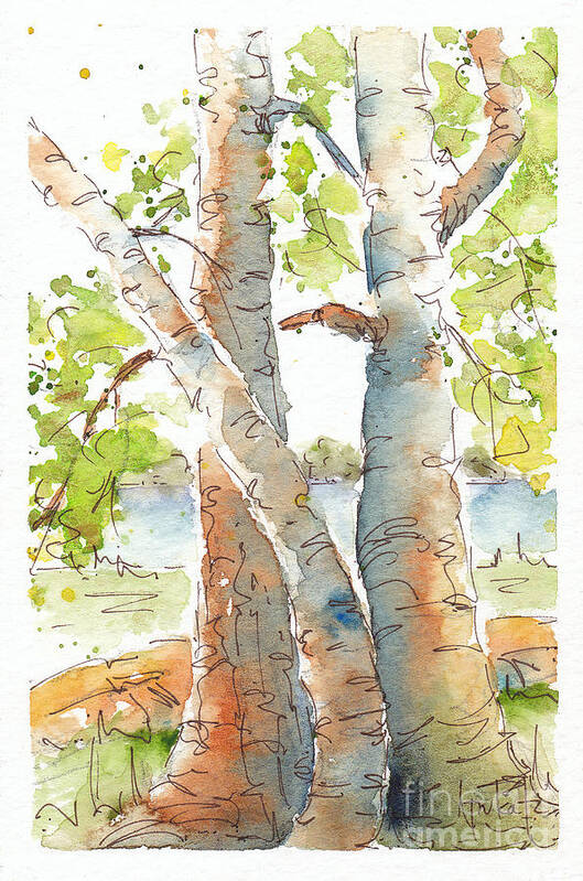 Impressionism Poster featuring the painting Birch Buddies by Pat Katz