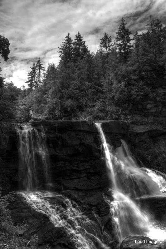 Blackwater Falls State Park Poster featuring the photograph Blackwater Falls BW 1 by Shannon Louder