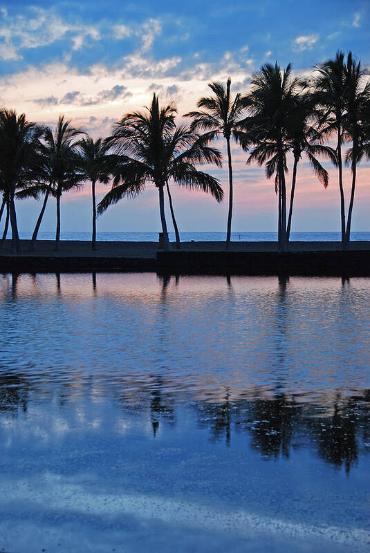 Anaehoomalu Bay Blue Hawaiian Kona Hawaii Palm Trees Landscape Photography Canvas Colors Beach Sunset Silhouette Poster featuring the photograph Blue Hawaiian by Kelly Wade