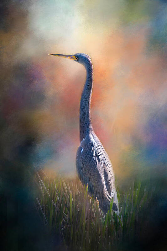 Blue Heron Poster featuring the photograph Blue Heron in the Marsh by Lynn Bauer