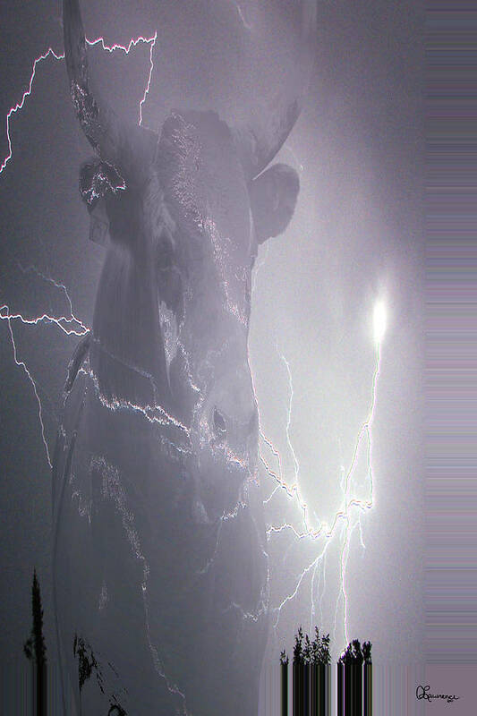 Lightening Lightning Cattle Bull Horns Cow Animal Rodeo Bullfighter Saskatchewan Artist Poster featuring the photograph Bolting Bull by Andrea Lawrence