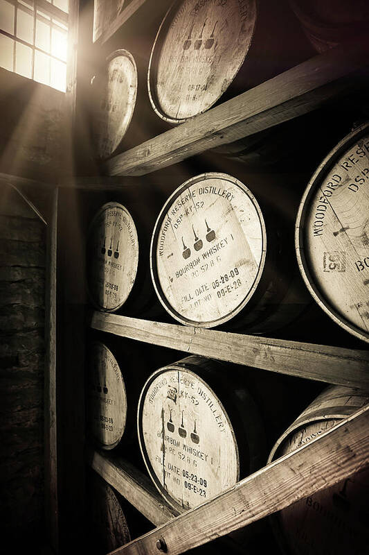 Bourbon Barrel Poster featuring the photograph Bourbon Barrels by Window Light by Karen Varnas