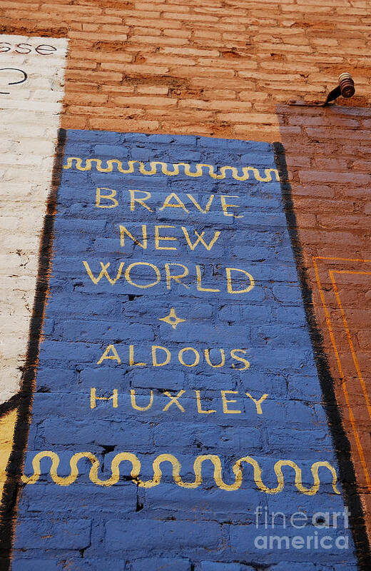 Urban Poster featuring the photograph Brave New World - Aldous Huxley Mural by Steven Milner
