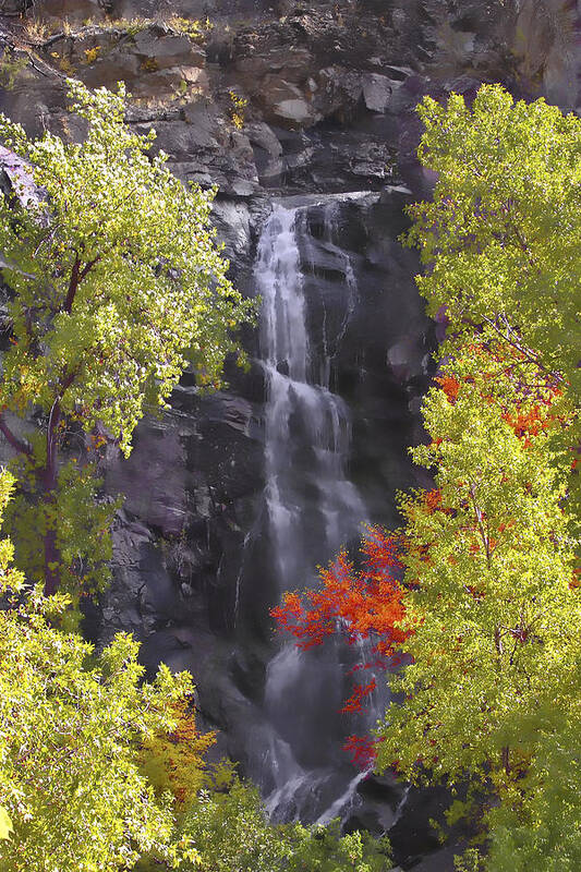 Waterfall Poster featuring the photograph Bridal Veil Falls Black Hills by Richard Stedman