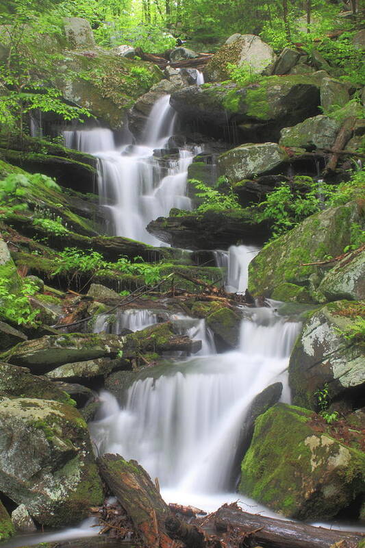 Waterfall Poster featuring the photograph Briggs Brook Waterfall New England National Scenic Trail by John Burk