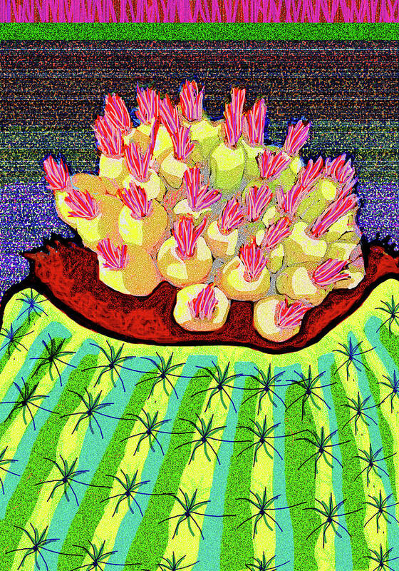 Desert Poster featuring the digital art Budding Barrel Cactus by Rod Whyte
