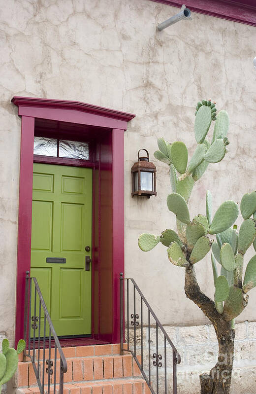 Door Poster featuring the photograph Cactus and doorway by Elvira Butler