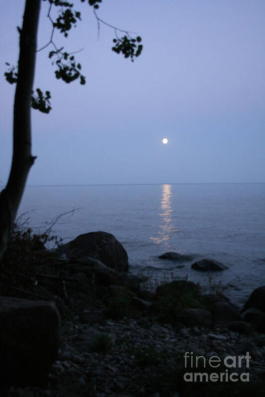 Calm Lake Poster featuring the photograph Calm Lake and Moon by Mary Mikawoz