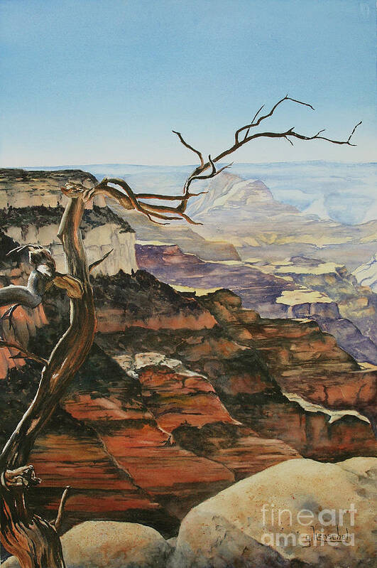 Painting Poster featuring the painting Canyon View by Glenyse Henschel